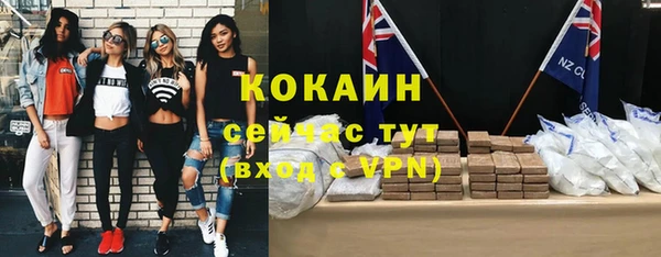 дживик Балахна