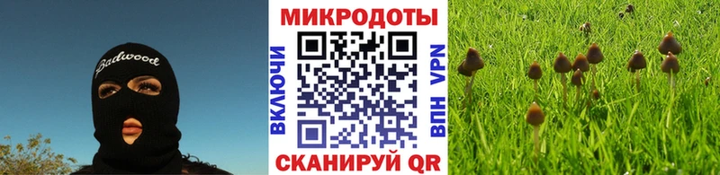 цена   Хасавюрт  Псилоцибиновые грибы MAGIC MUSHROOMS 